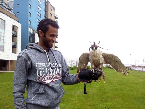 street-scene-hawk-web
