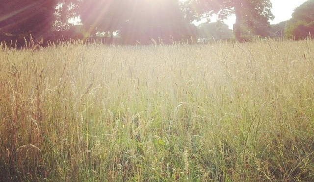 Two more weeks in Cardiff – photography by Rhian Richards and a new photographer for April!