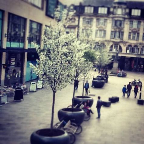 10170839_595641257209783_5113878134933201882_n