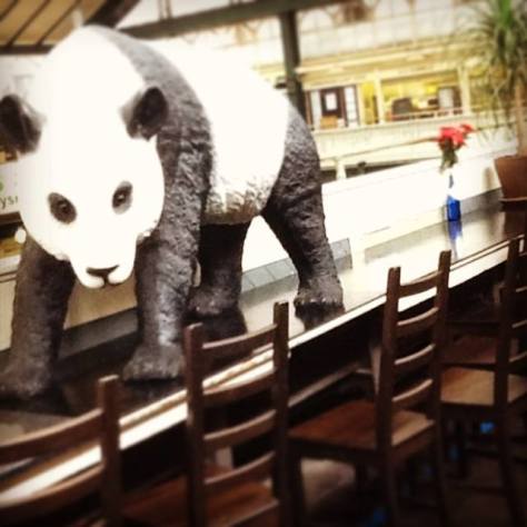 10245557_595390973901478_4875373541406537000_n