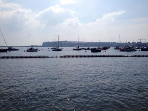 boats cardiff bay jeremy rees