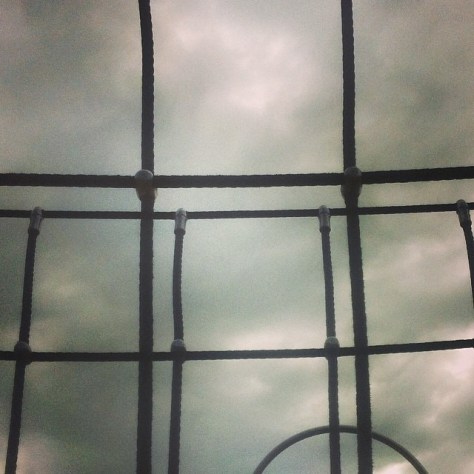 10401899_624537440986831_4414883735578460225_n