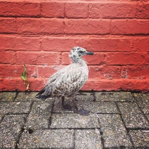 Cardiff, July 2014 by Alex Feeney