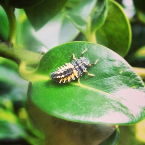 Cardiff, July 2014 by Alex Feeney