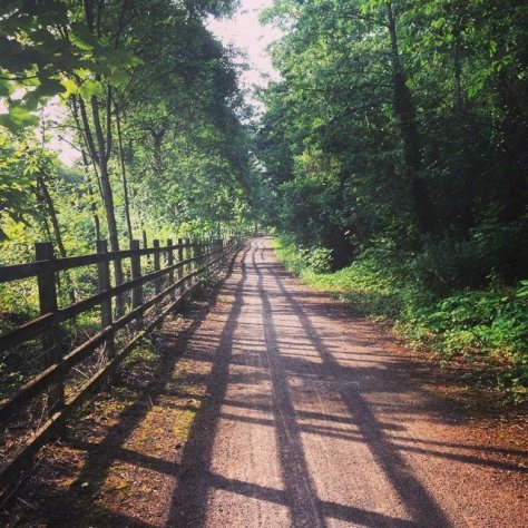 Cardiff, July 2014 by Alex Feeney