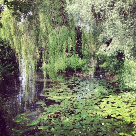 Cardiff, July 2014 by Alex Feeney