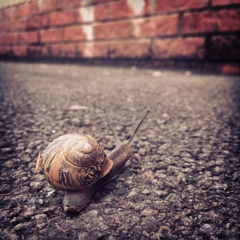 Cardiff, July 2014 by Alex Feeney