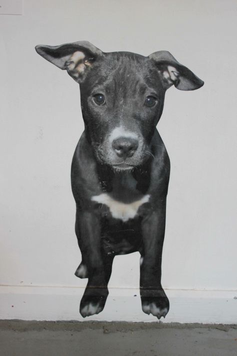 Empty_walls_abacus_ben_blyth - 20