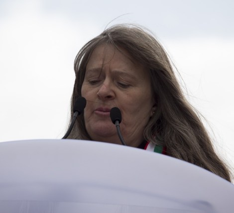 St_Davids_Parade_Cardiff_2015_Peppe_ - 03