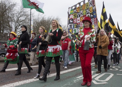 St_Davids_Parade_Cardiff_2015_Peppe_ - 09