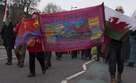 St_Davids_Parade_Cardiff_2015_Peppe_ - 19