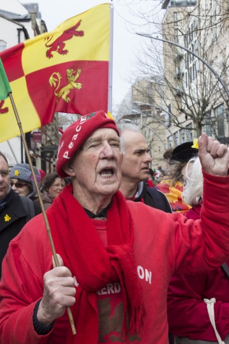 St_Davids_Parade_Cardiff_2015_Peppe_ - 24