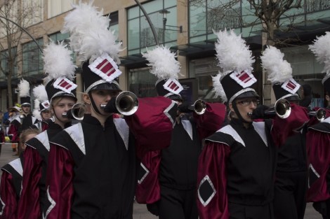 St_Davids_Parade_Cardiff_2015_Peppe_ - 26