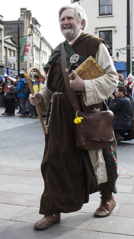 St_Davids_Parade_Cardiff_2015_Peppe_ - 34