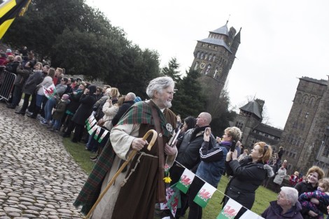 St_Davids_Parade_Cardiff_2015_Peppe_ - 36
