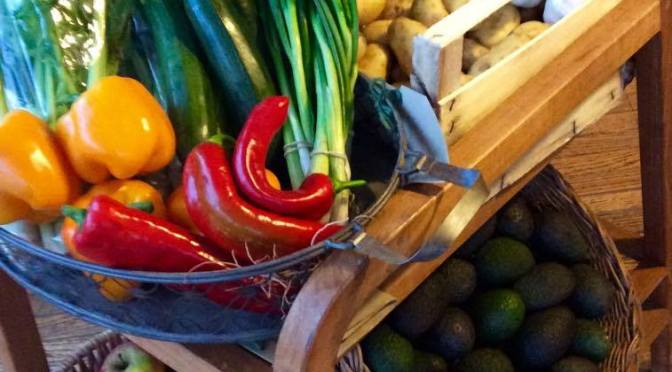 Cardiff’s first bike-powered veg delivery service launches!