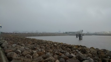 cardiff half marathon