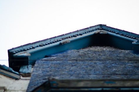 Adam_Chard_Cardiff_January_2016_ - 22