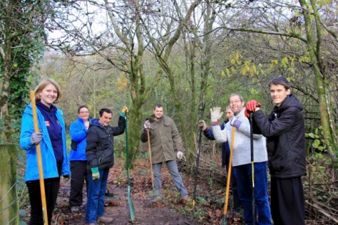 green_days_project - 24