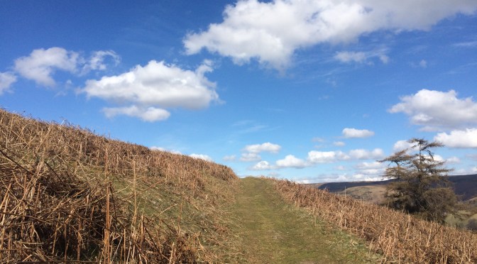 Out of Cardiff: Walking up Table Mountain