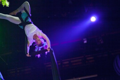 224532_973405942726004_7236826611230012816_n