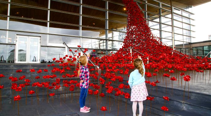 Iconic poppy sculpture Weeping Window opens at the Senedd