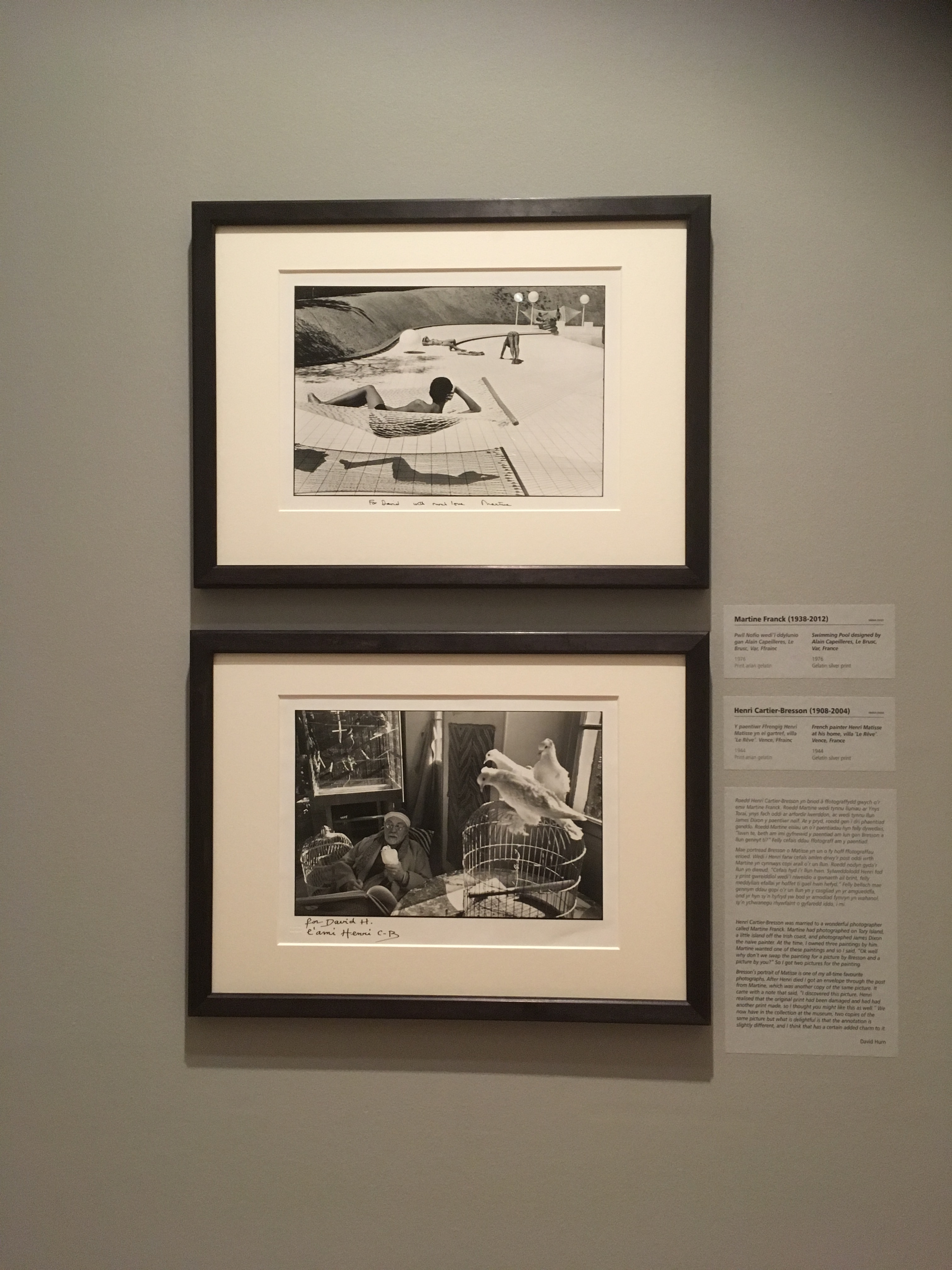 8AEA76A9-6894-4635-801F-D3F53BA2B6FE (1)