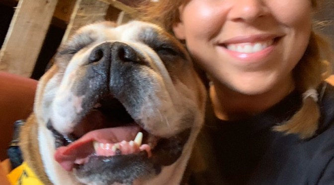 Finding homes for Cardiff’s abandoned dogs – meet Alex!