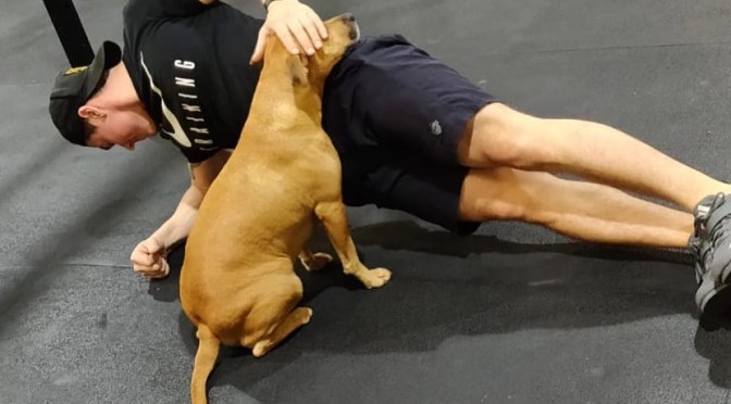 Letters from Cardiff in lockdown: Owen